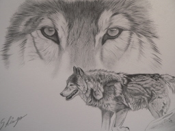 Wolf i݁j